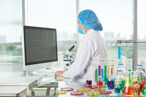 Lab Equipment Online: A Practical Guide to Types, Selection, and Safe Laboratory Use